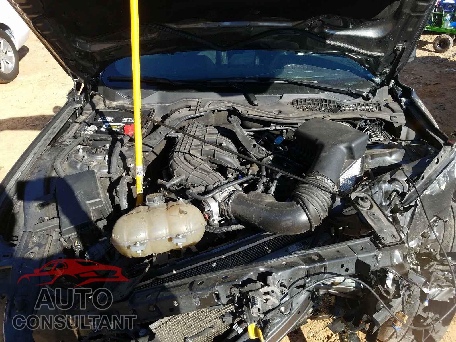 FORD MUSTANG 2017 - 1FA6P8AM3H5228083