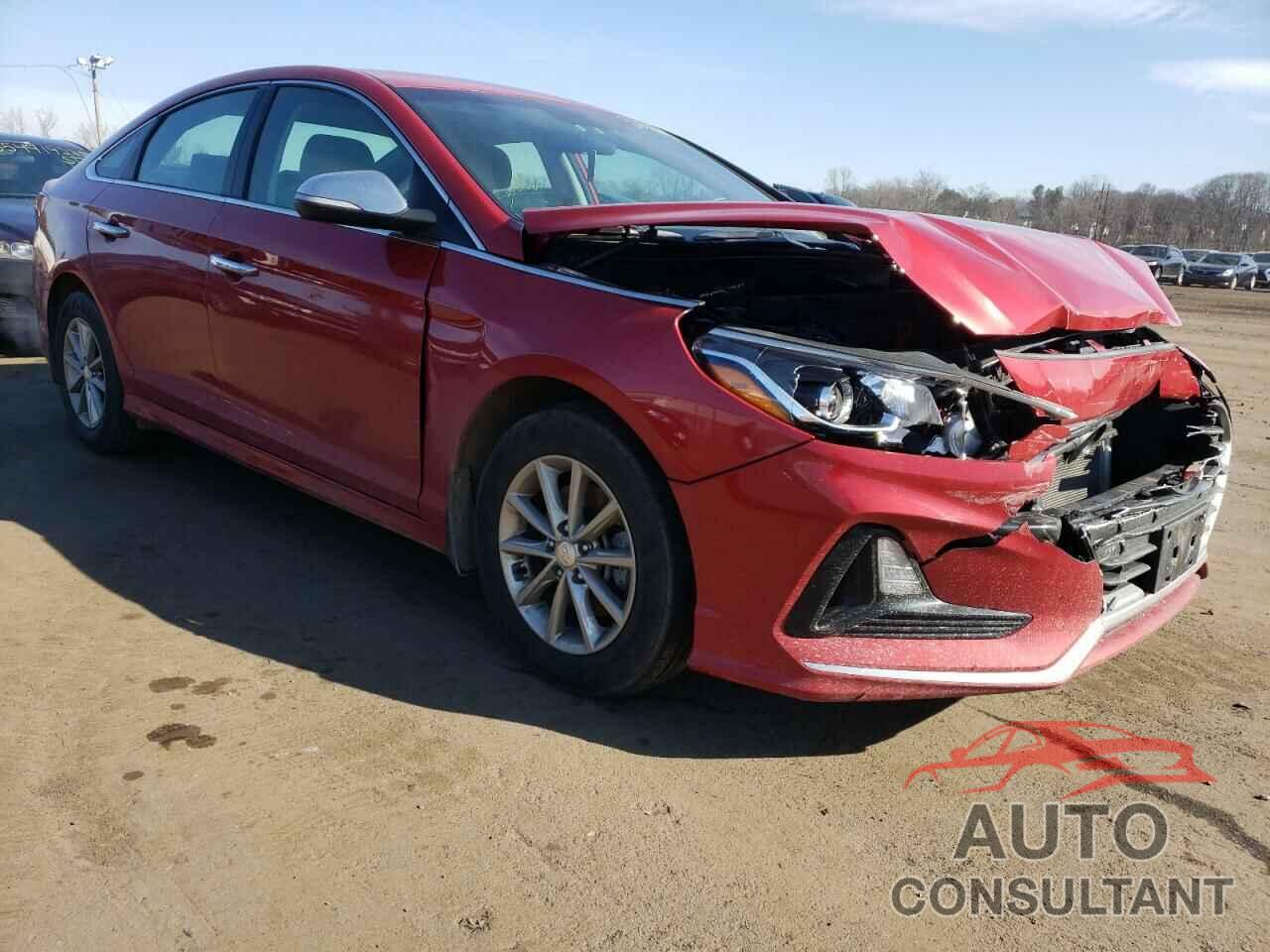 HYUNDAI SONATA 2019 - 5NPE24AF6KH732410