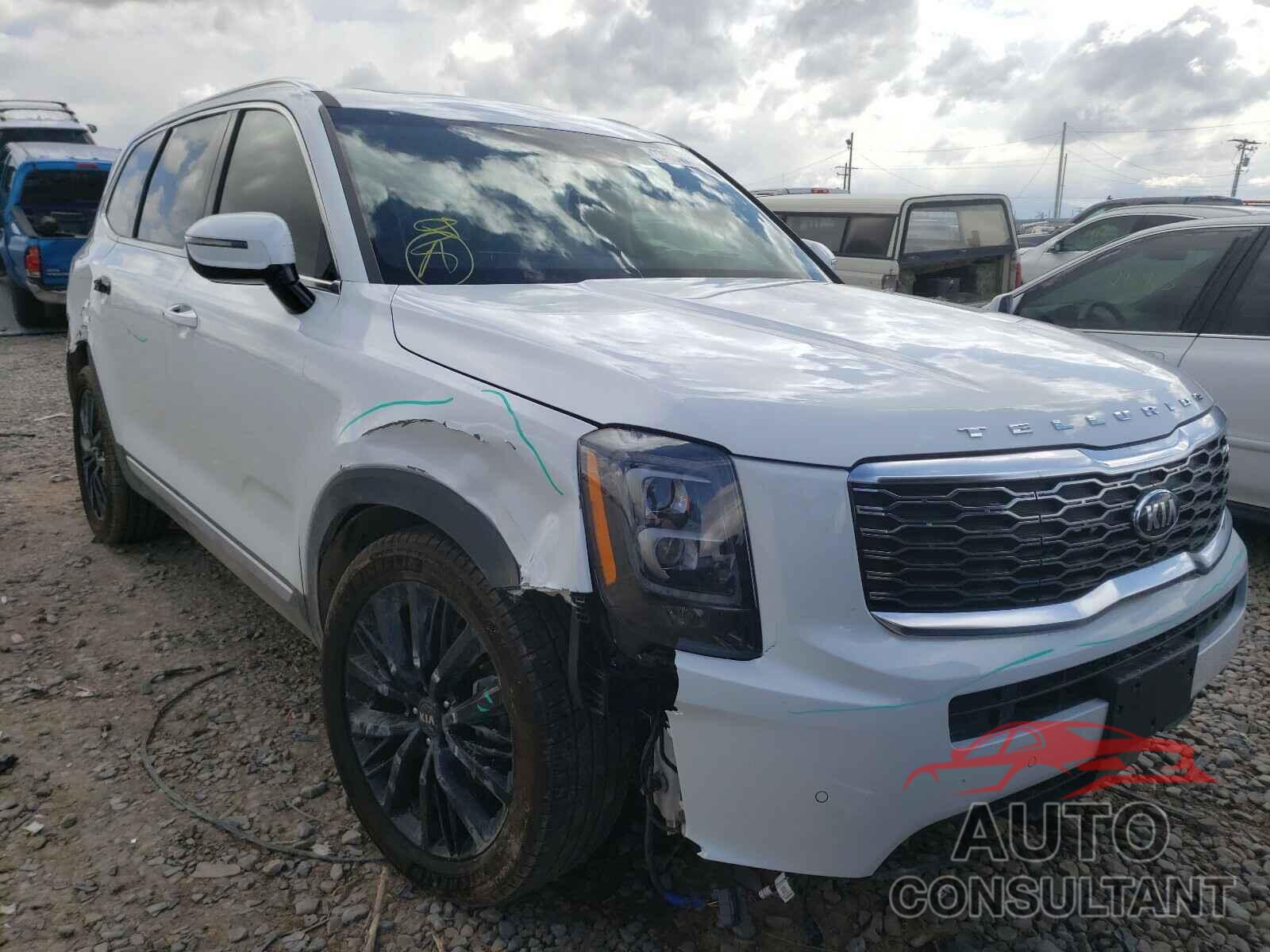 KIA TELLURIDE 2020 - 5XYP5DHC5LG048369