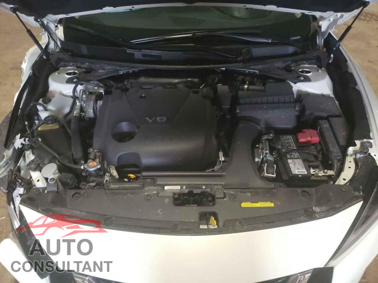 NISSAN MAXIMA 2021 - 1N4AA6CV9MC509686