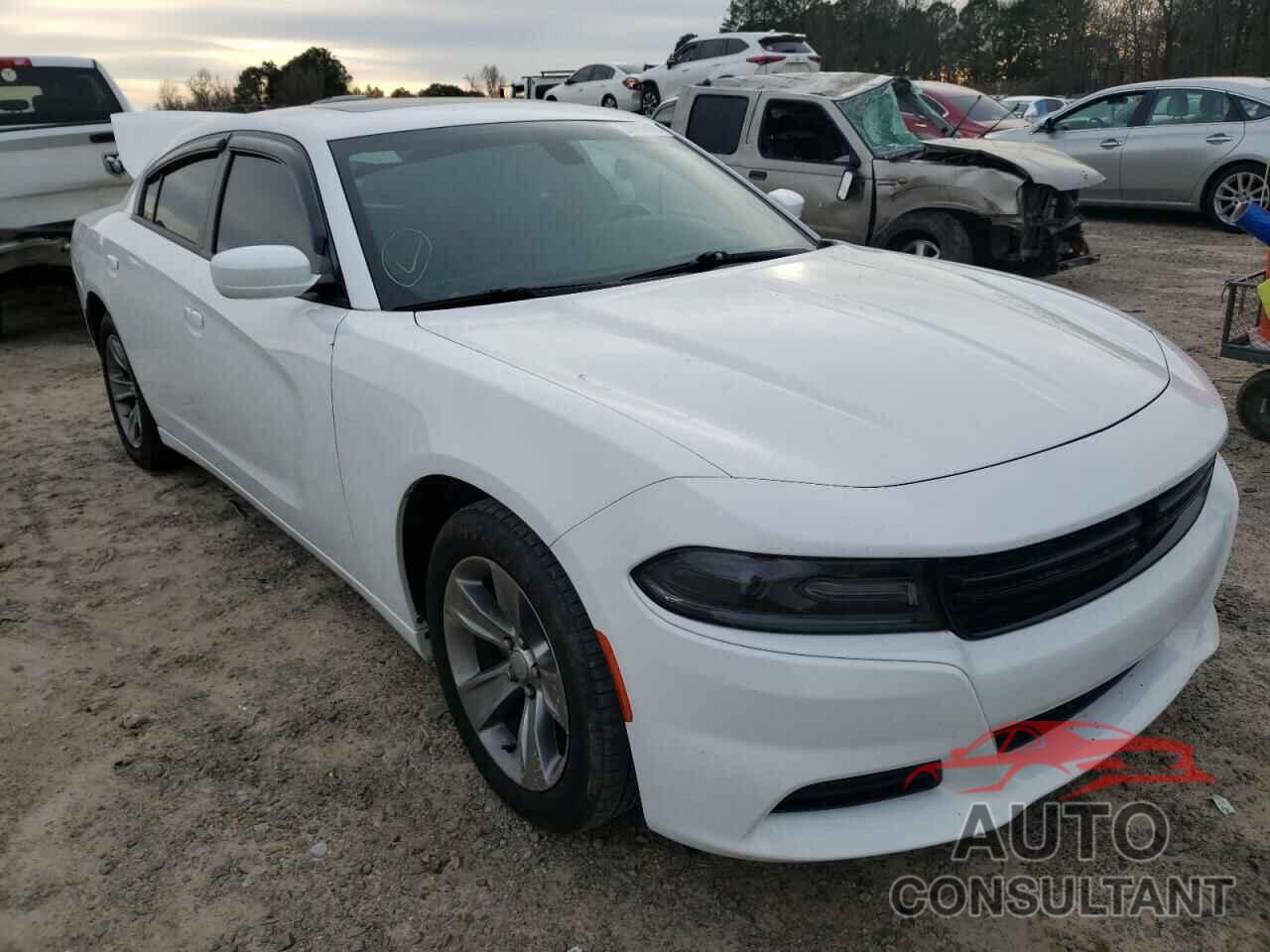 DODGE CHARGER 2019 - 2C3CDXBG5KH591515