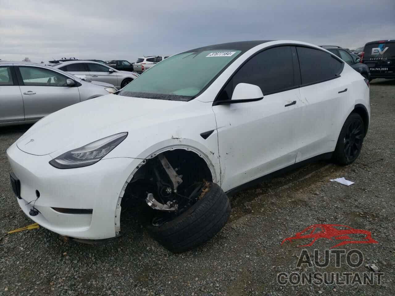 TESLA MODEL Y 2020 - 5YJYGDEE4LF019831