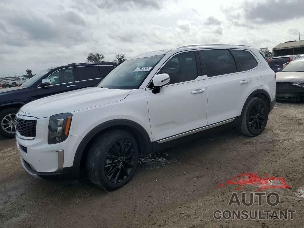 KIA TELLURIDE 2022 - 5XYP54HC7NG234644