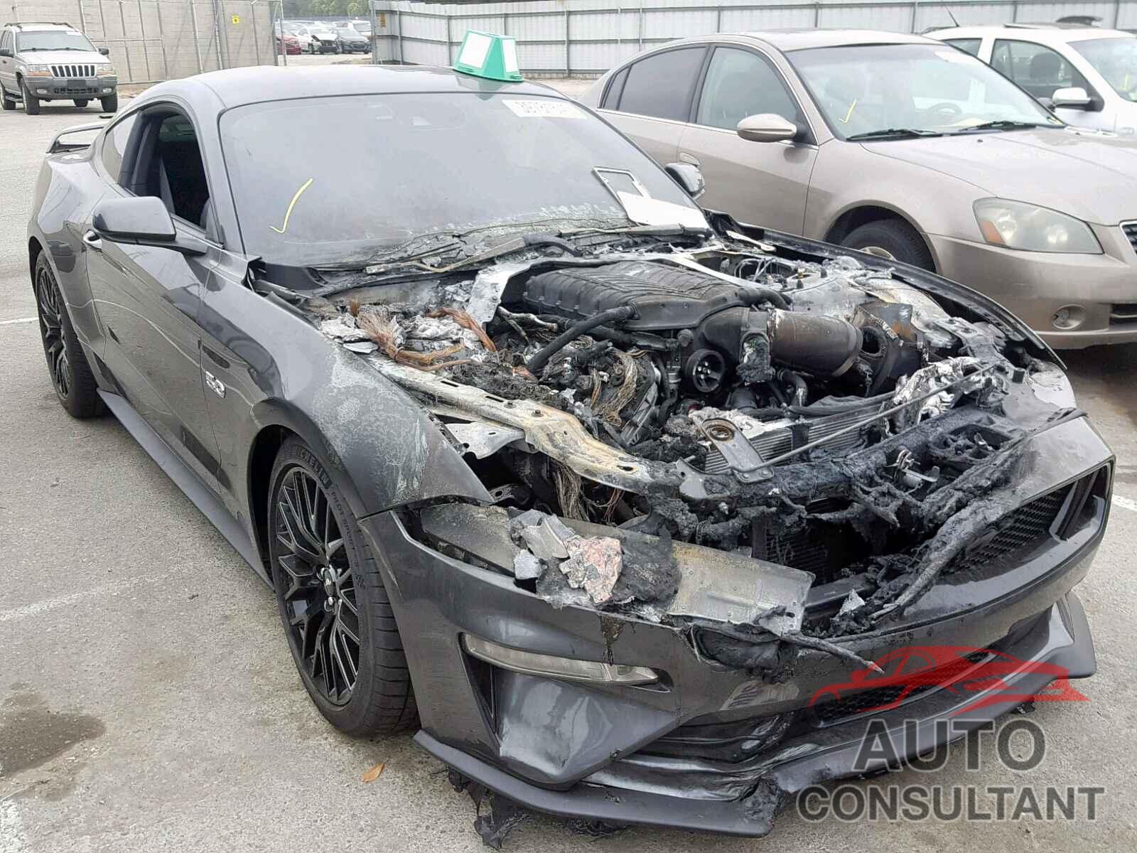 FORD MUSTANG 2019 - 1FA6P8CF3K5154203