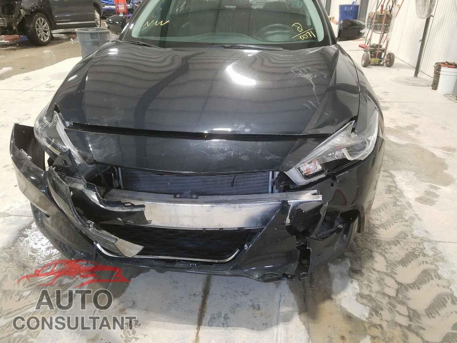 NISSAN MAXIMA 2017 - 1N4AA6AP7HC440071