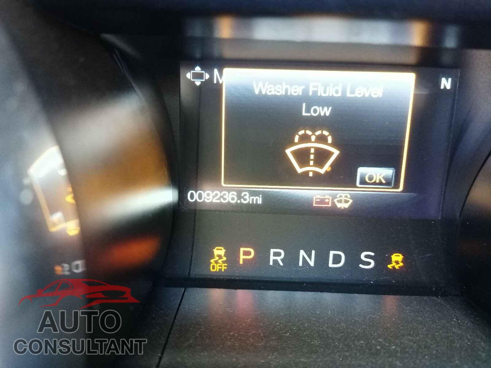 FORD MUSTANG 2019 - 1FA6P8CF0K5204751