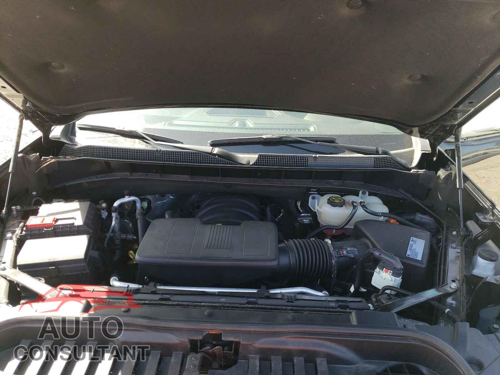 CHEVROLET SILVERADO 2020 - 1GCPWCED2LZ118075