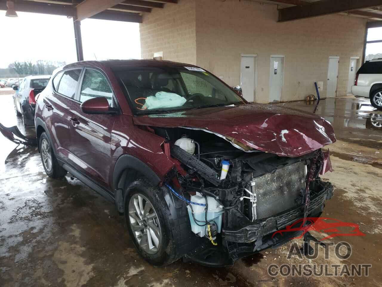 HYUNDAI TUCSON 2016 - KM8J23A43GU054585