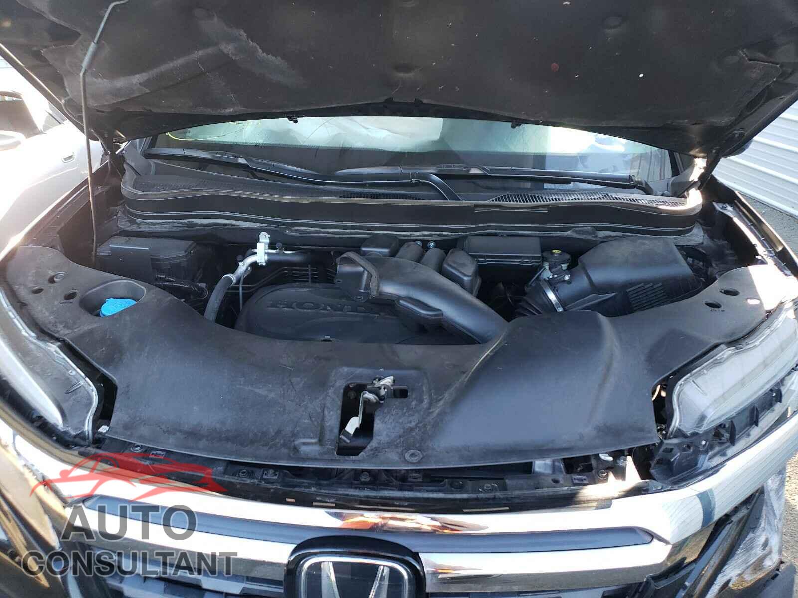 HONDA RIDGELINE 2019 - 5FPYK3F82KB048266