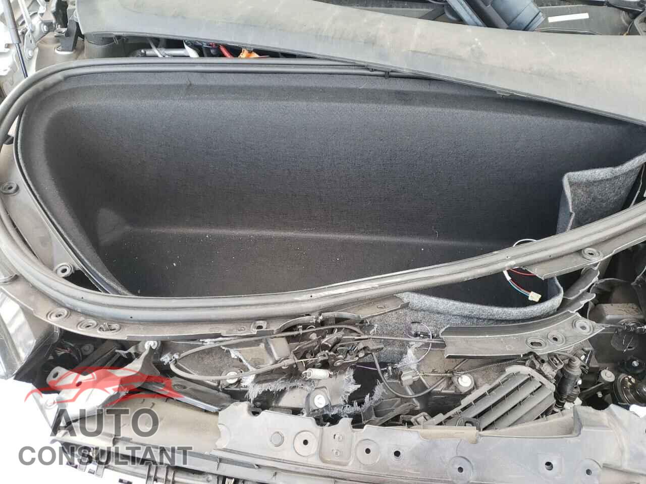 TESLA MODEL X 2019 - 5YJXCAE21KF161404