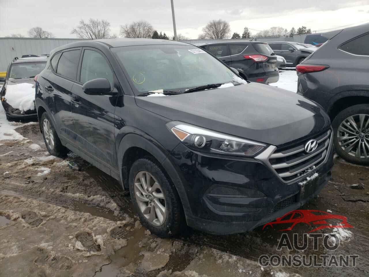 HYUNDAI TUCSON 2017 - KM8J23A43HU410597