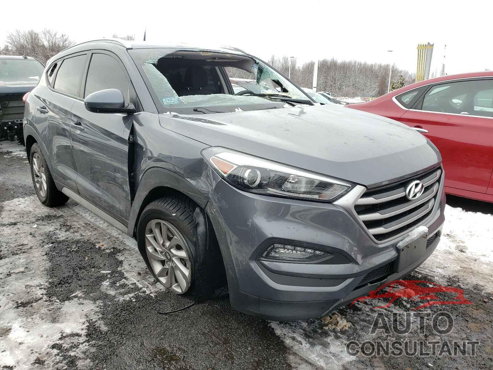 HYUNDAI TUCSON 2017 - KM8J3CA44HU530437