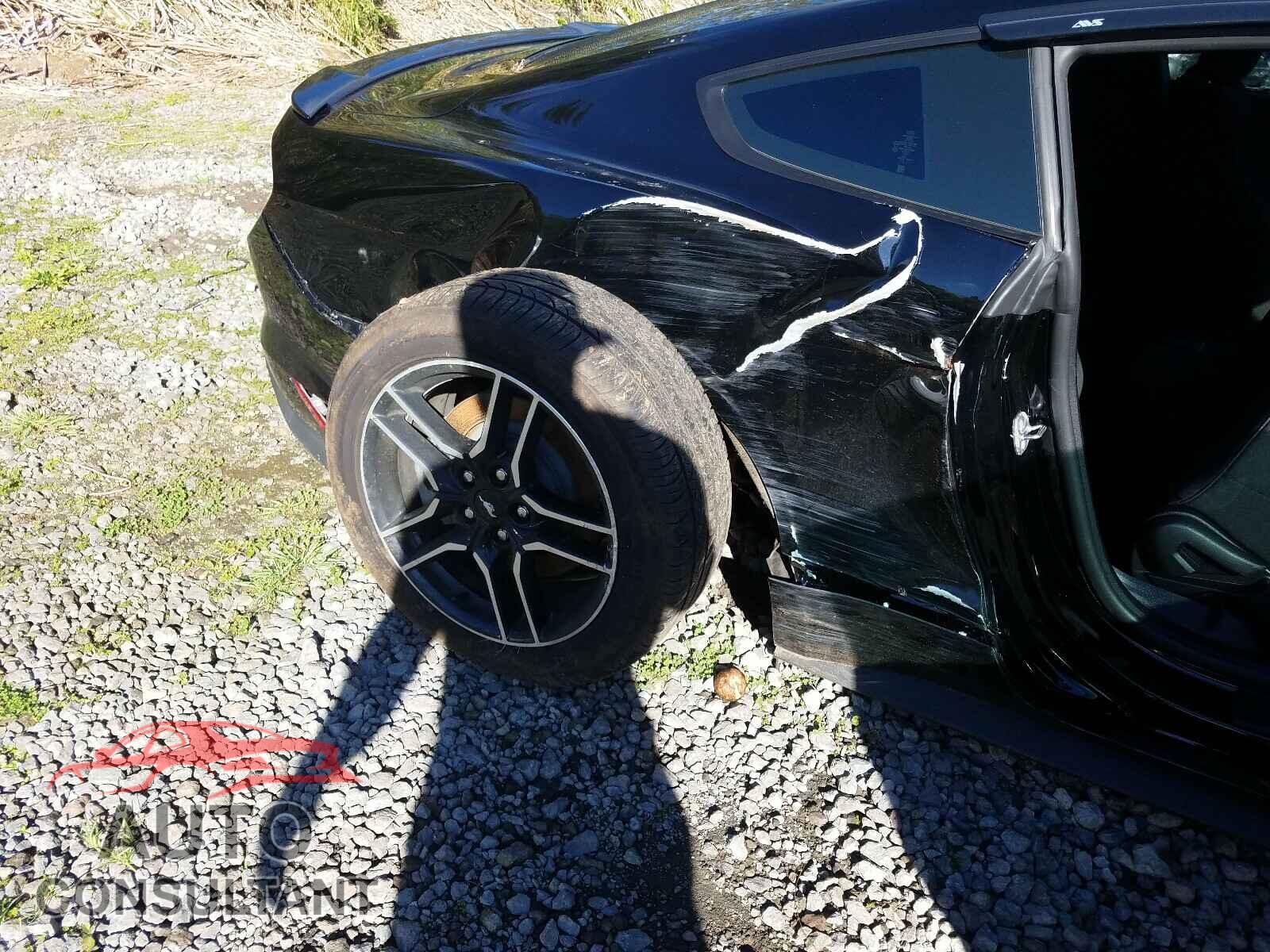FORD MUSTANG 2019 - 1FA6P8CFXK5143991