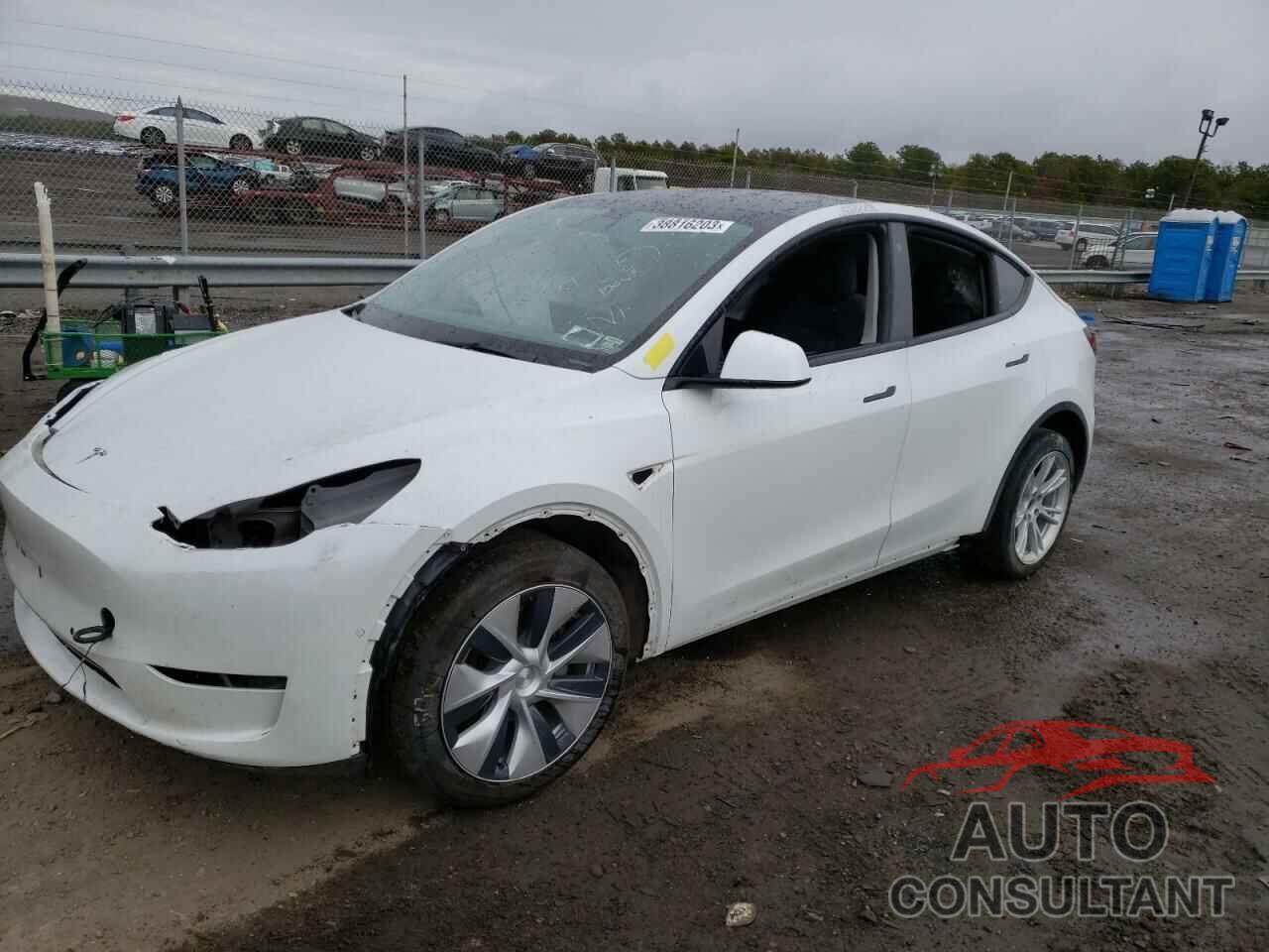 TESLA MODEL Y 2021 - 5YJYGDEE3MF229693