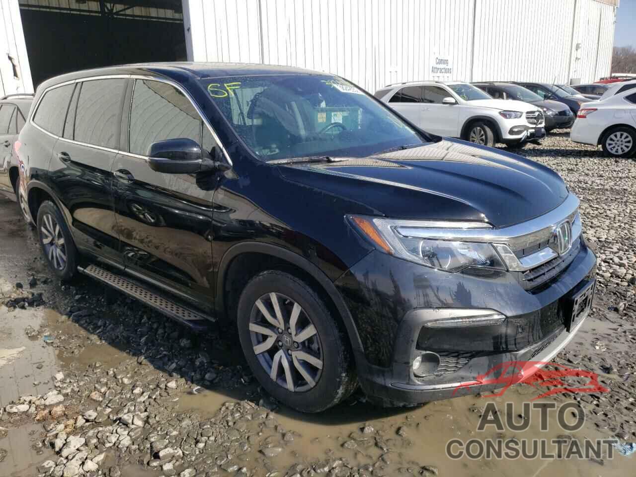 HONDA PILOT 2019 - 5FNYF6H53KB079057