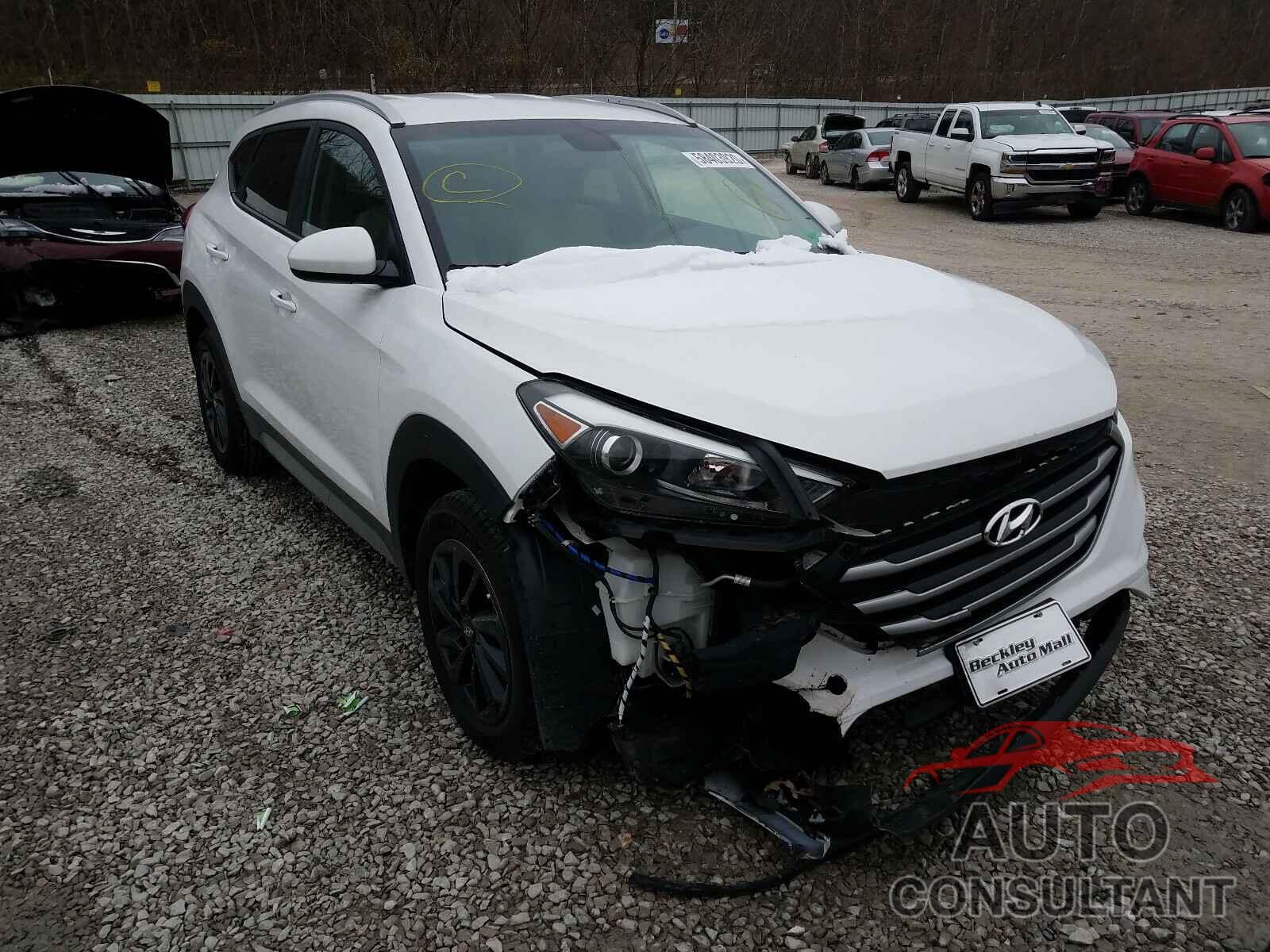 HYUNDAI TUCSON 2017 - KM8J3CA48HU289837