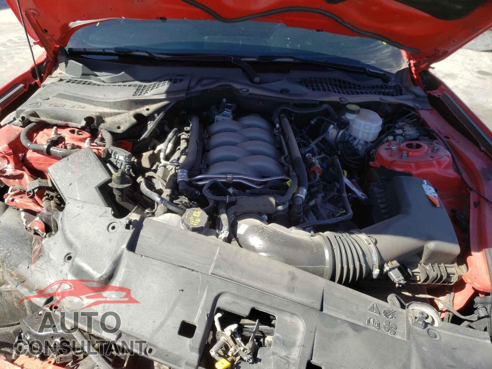 FORD MUSTANG 2019 - 1FA6P8CF9K5175105