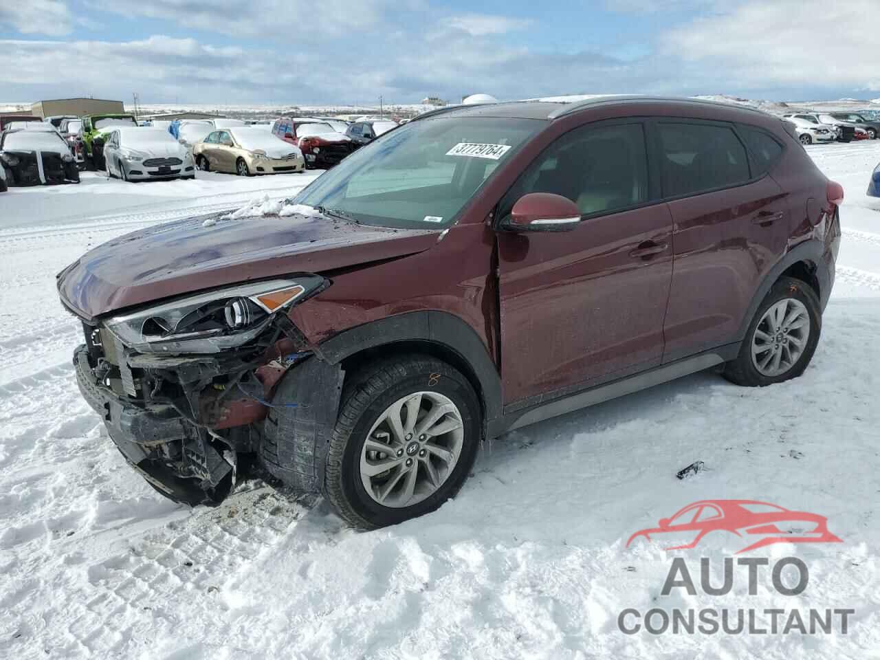 HYUNDAI TUCSON 2017 - KM8J3CA46HU532822