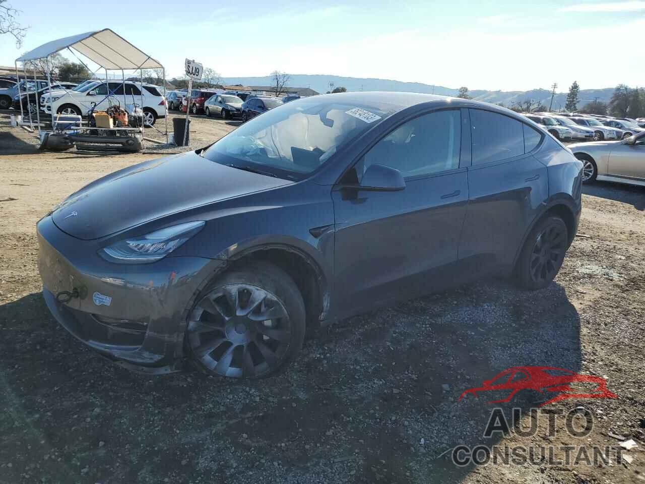 TESLA MODEL Y 2021 - 5YJYGDEE1MF222984