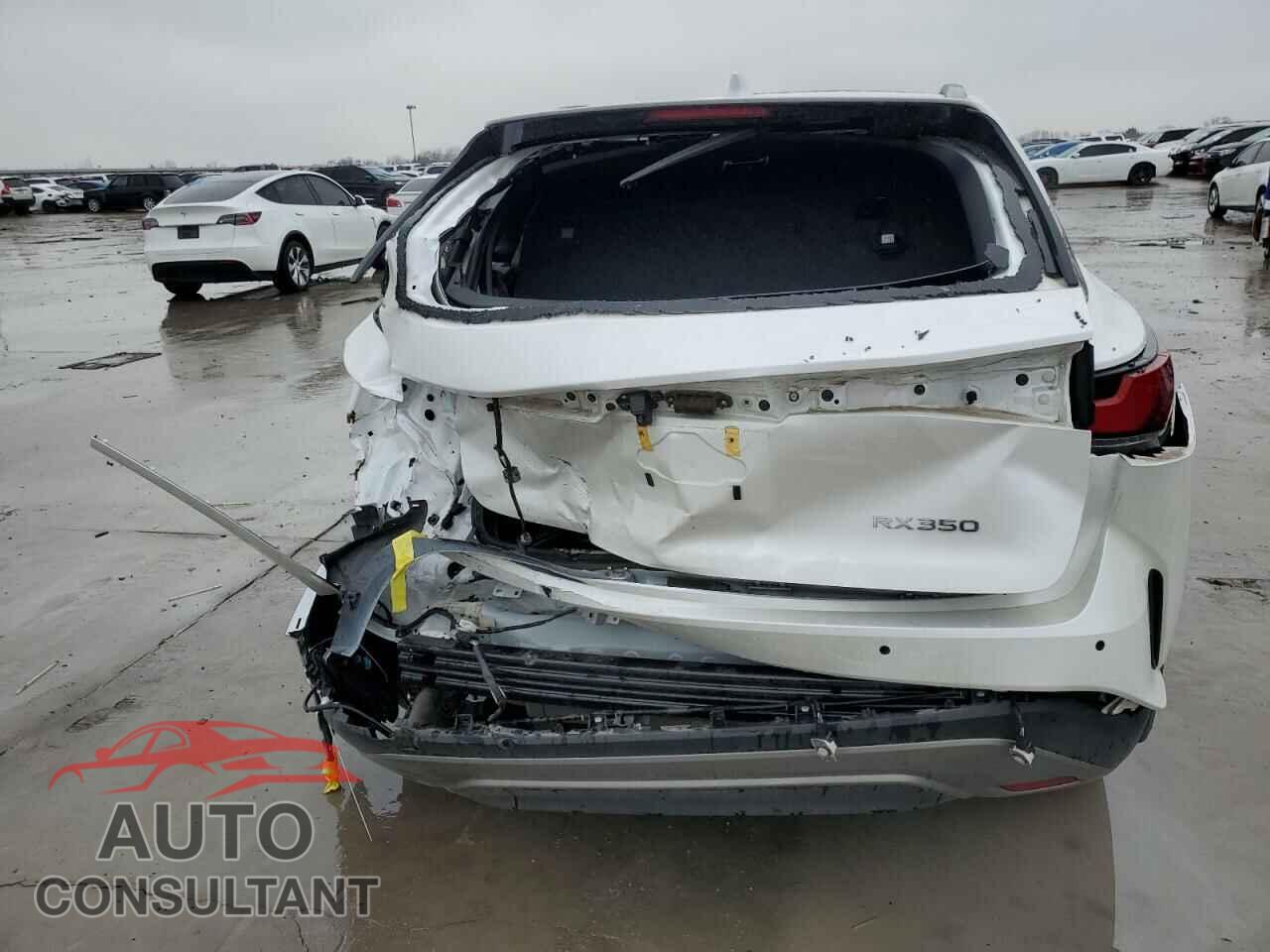 LEXUS RX350 2023 - 2T2BAMBA2PC010267