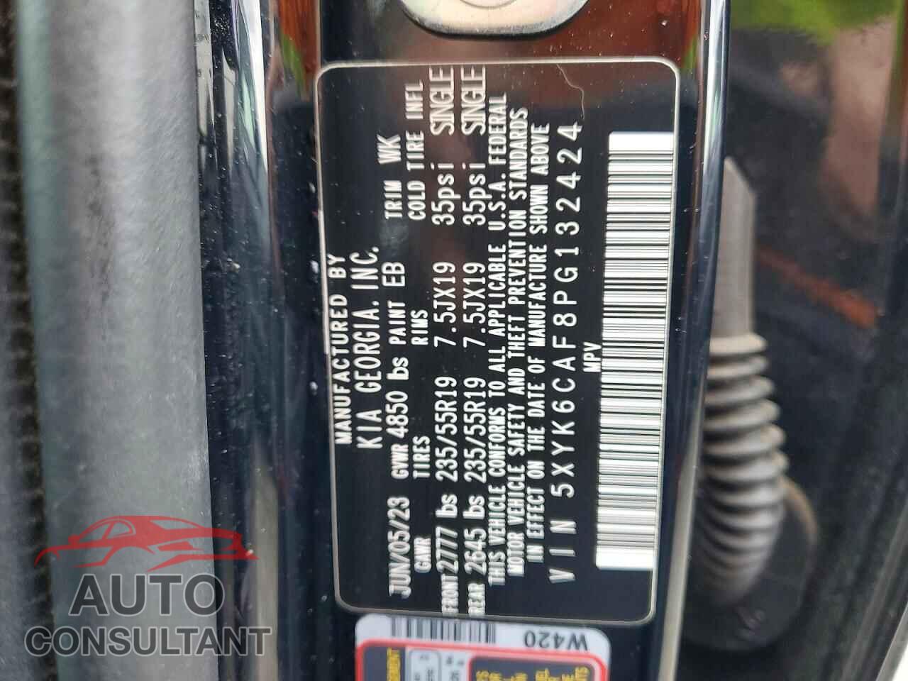 KIA SPORTAGE 2023 - 5XYK6CAF8PG132424