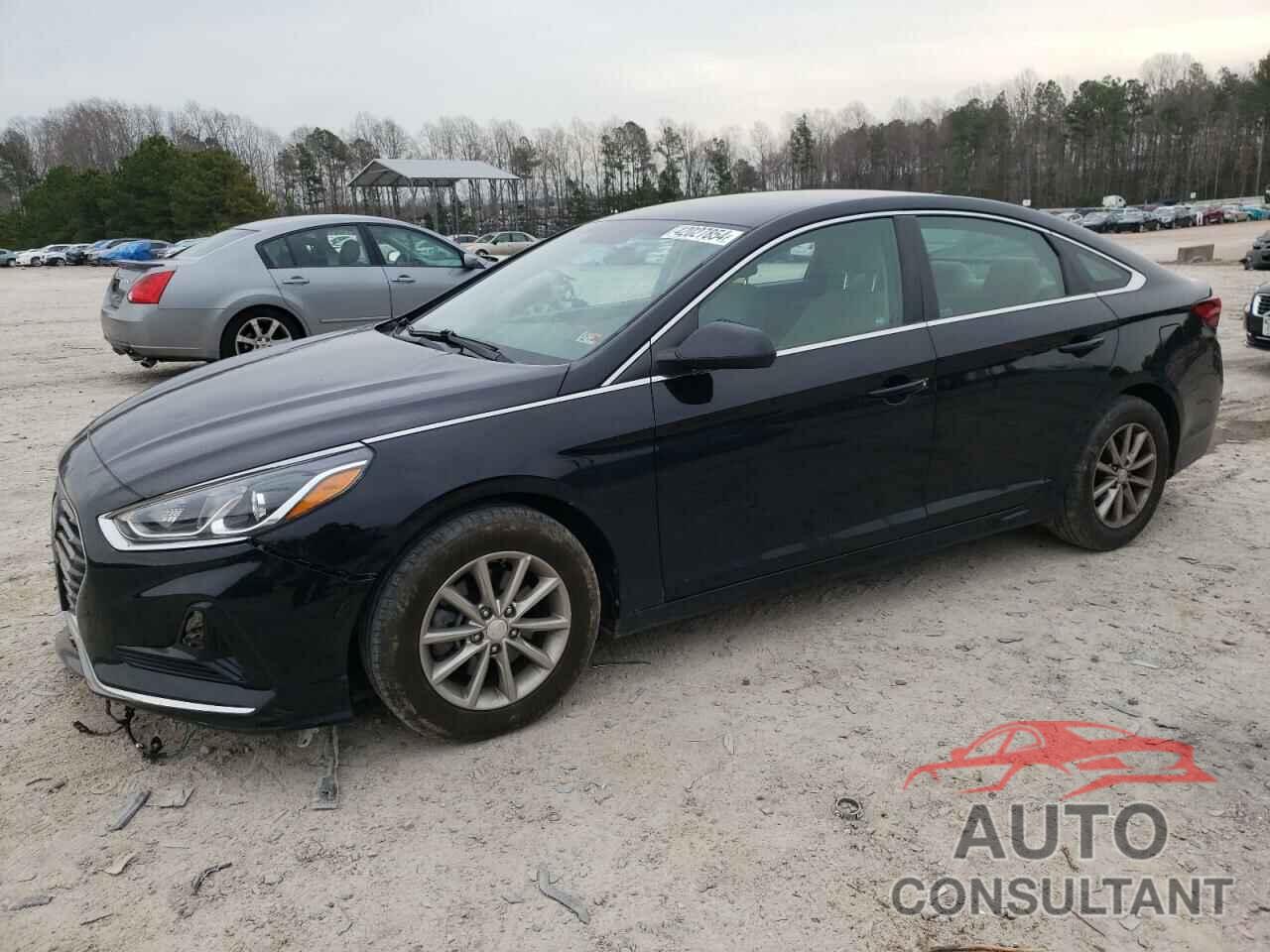 HYUNDAI SONATA 2019 - 5NPE24AFXKH791475