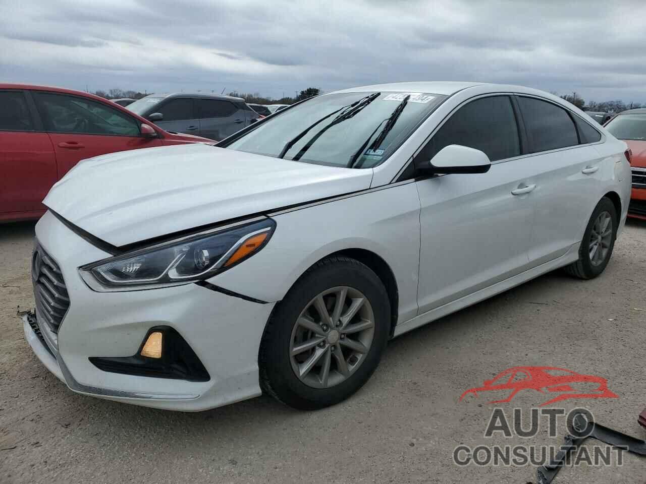 HYUNDAI SONATA 2019 - 5NPE24AF8KH741285