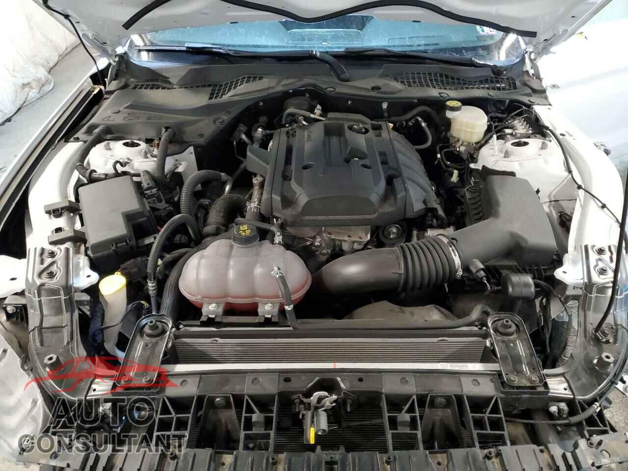 FORD MUSTANG 2019 - 1FA6P8TH2K5201125