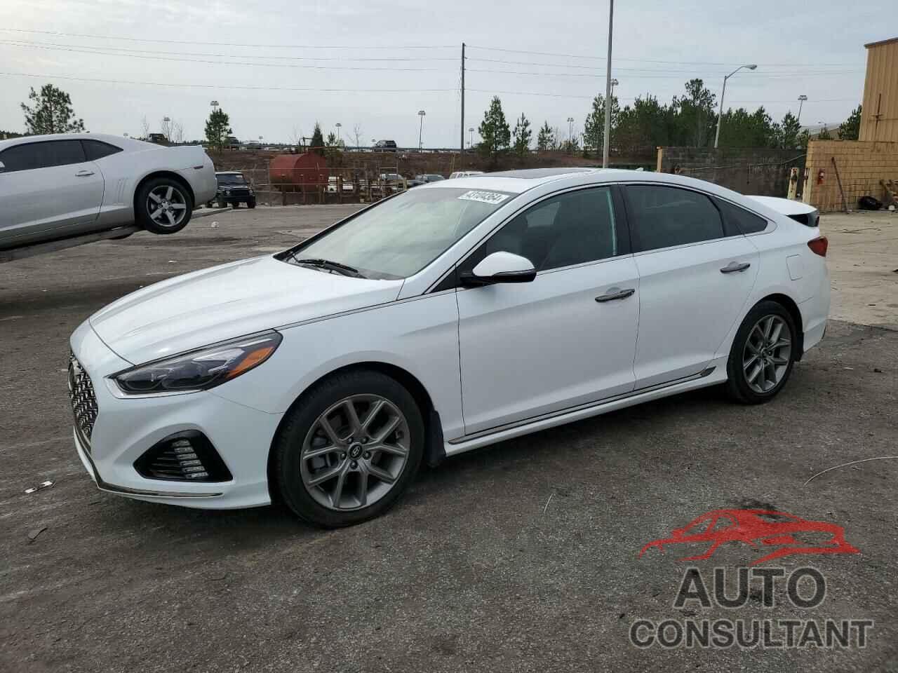 HYUNDAI SONATA 2018 - 5NPE34AB2JH694215