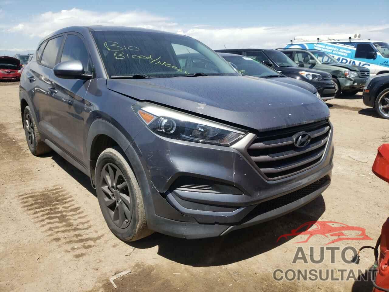 HYUNDAI TUCSON 2016 - KM8J23A45GU181788