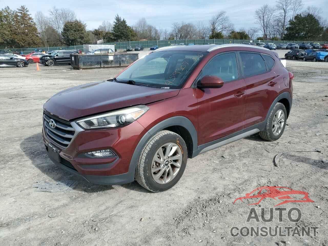 HYUNDAI TUCSON 2017 - KM8J3CA41HU295351