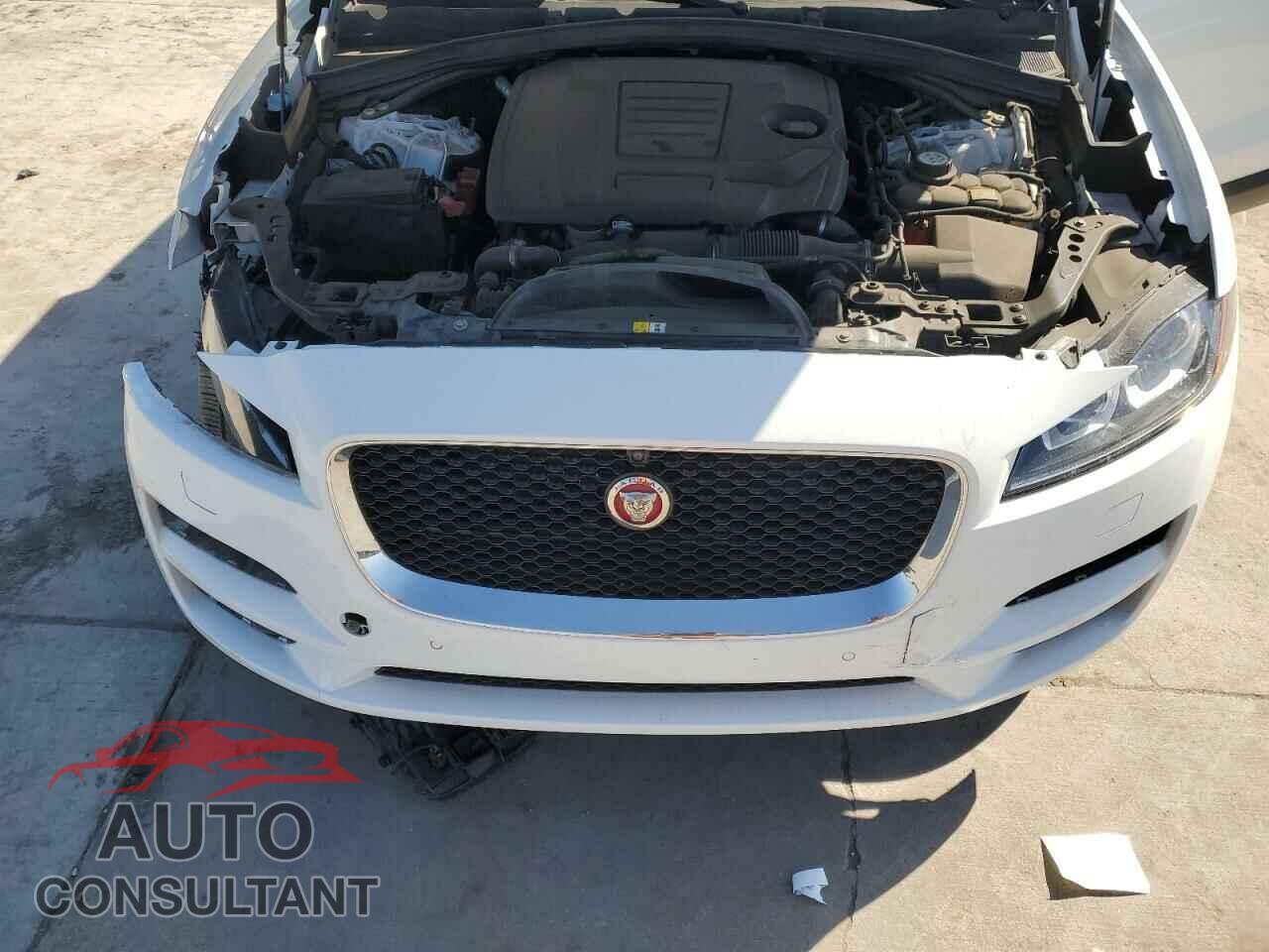 JAGUAR F-PACE 2020 - SADCK2FX7LA657601