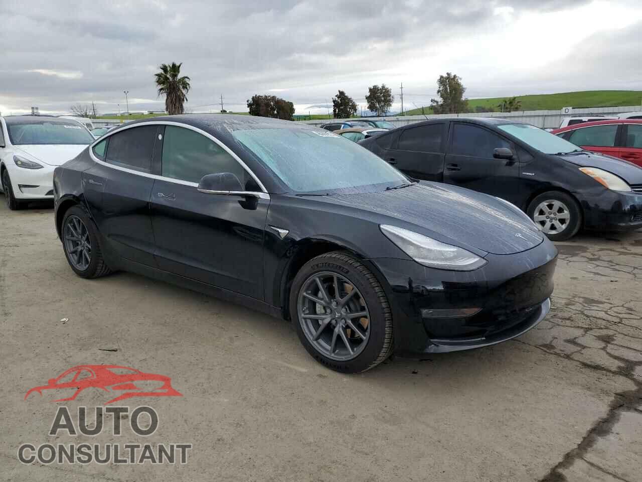 TESLA MODEL 3 2019 - 5YJ3E1EA0KF317223