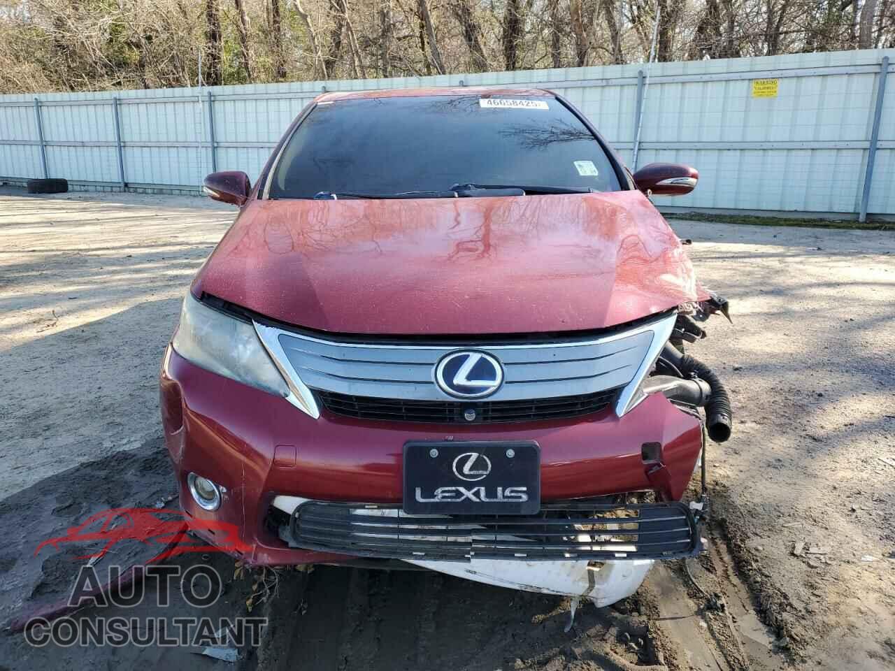 LEXUS HS 2010 - JTHBB1BA3A2010797