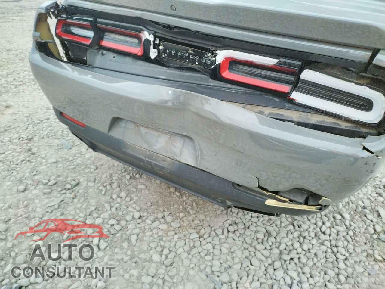 DODGE CHALLENGER 2019 - 2C3CDZAG2KH701644