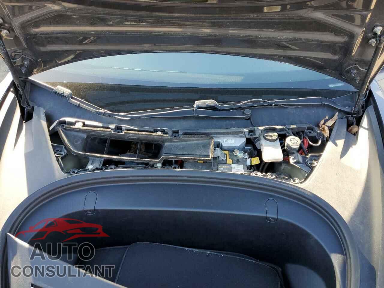 TESLA MODEL 3 2019 - 5YJ3E1EB8KF386962