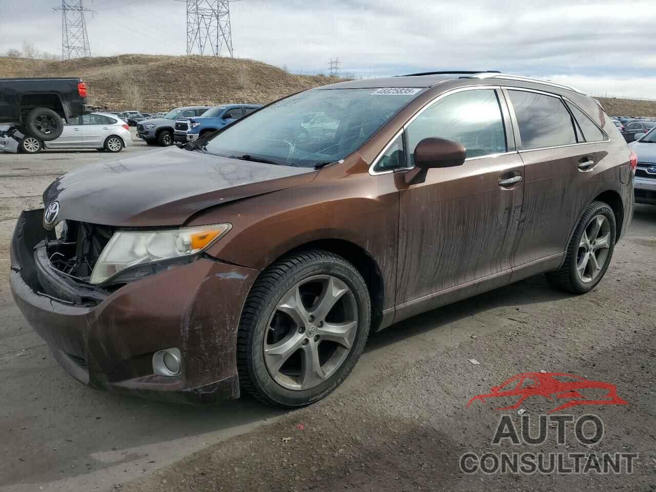 TOYOTA VENZA 2010 - 4T3BK3BB6AU032354