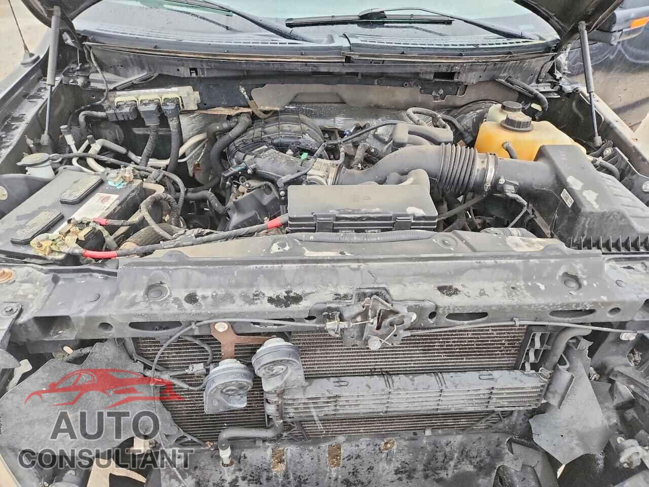 FORD F150 2013 - 1FTEX1CM2DFD45250