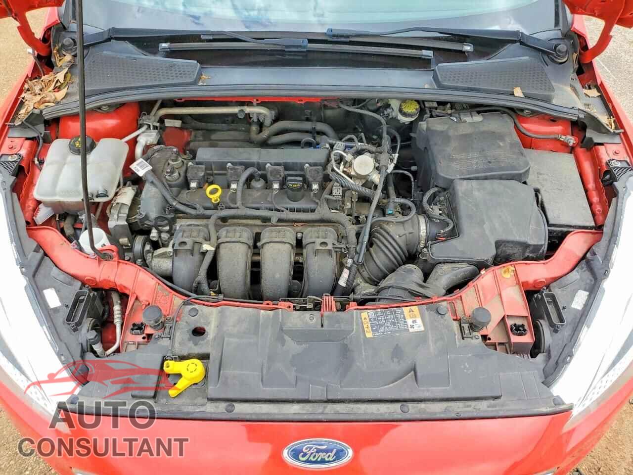 FORD FOCUS 2016 - 1FADP3F25GL356997