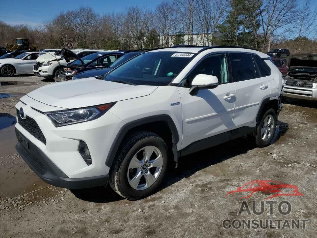 TOYOTA RAV4 2020 - 4T3R6RFV0LU004238