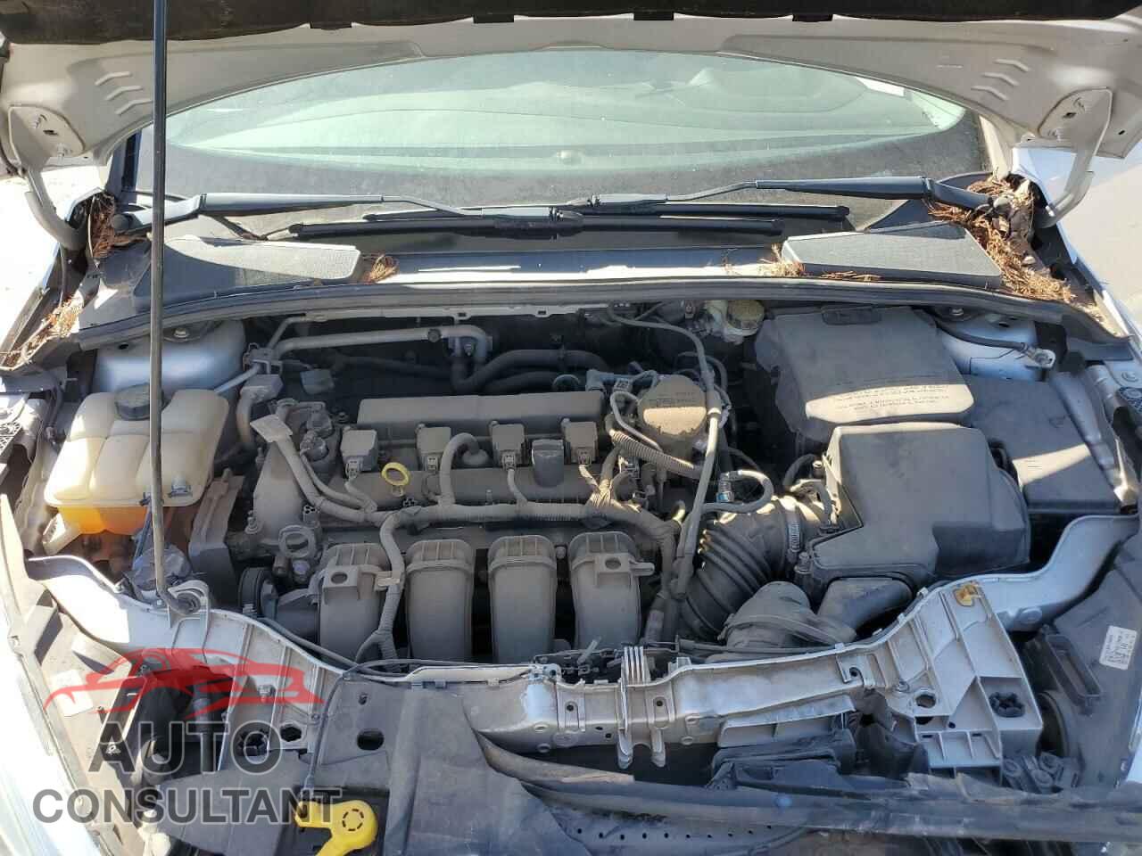 FORD FOCUS 2015 - 1FADP3F2XFL242783