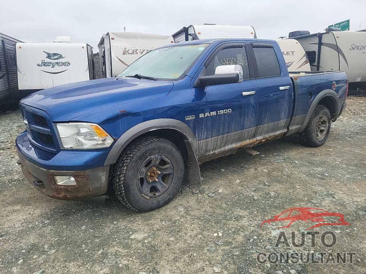 DODGE All Models 2011 - 1D7RV1GT4BS695398