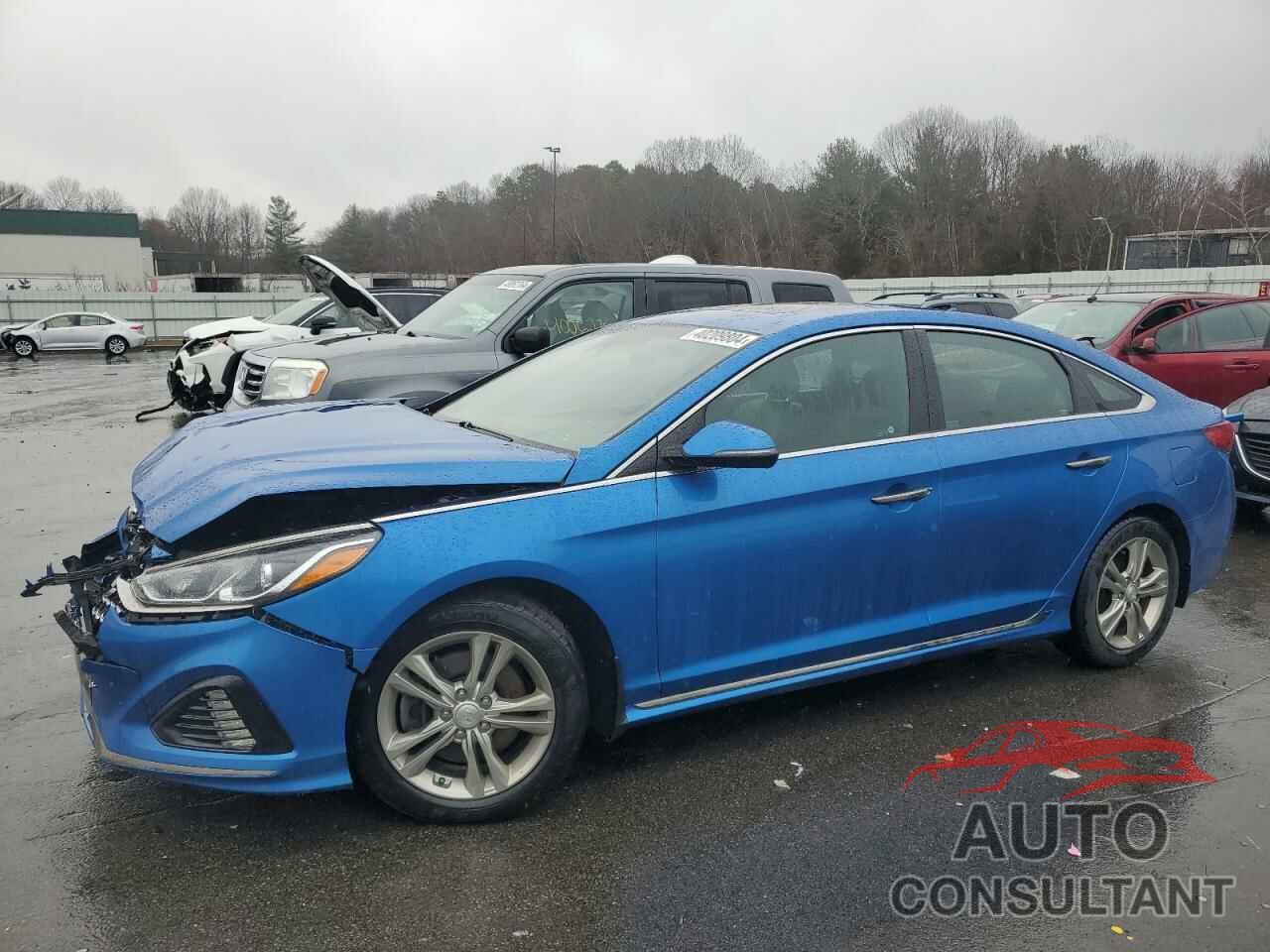 HYUNDAI SONATA 2019 - 5NPE34AF8KH755443