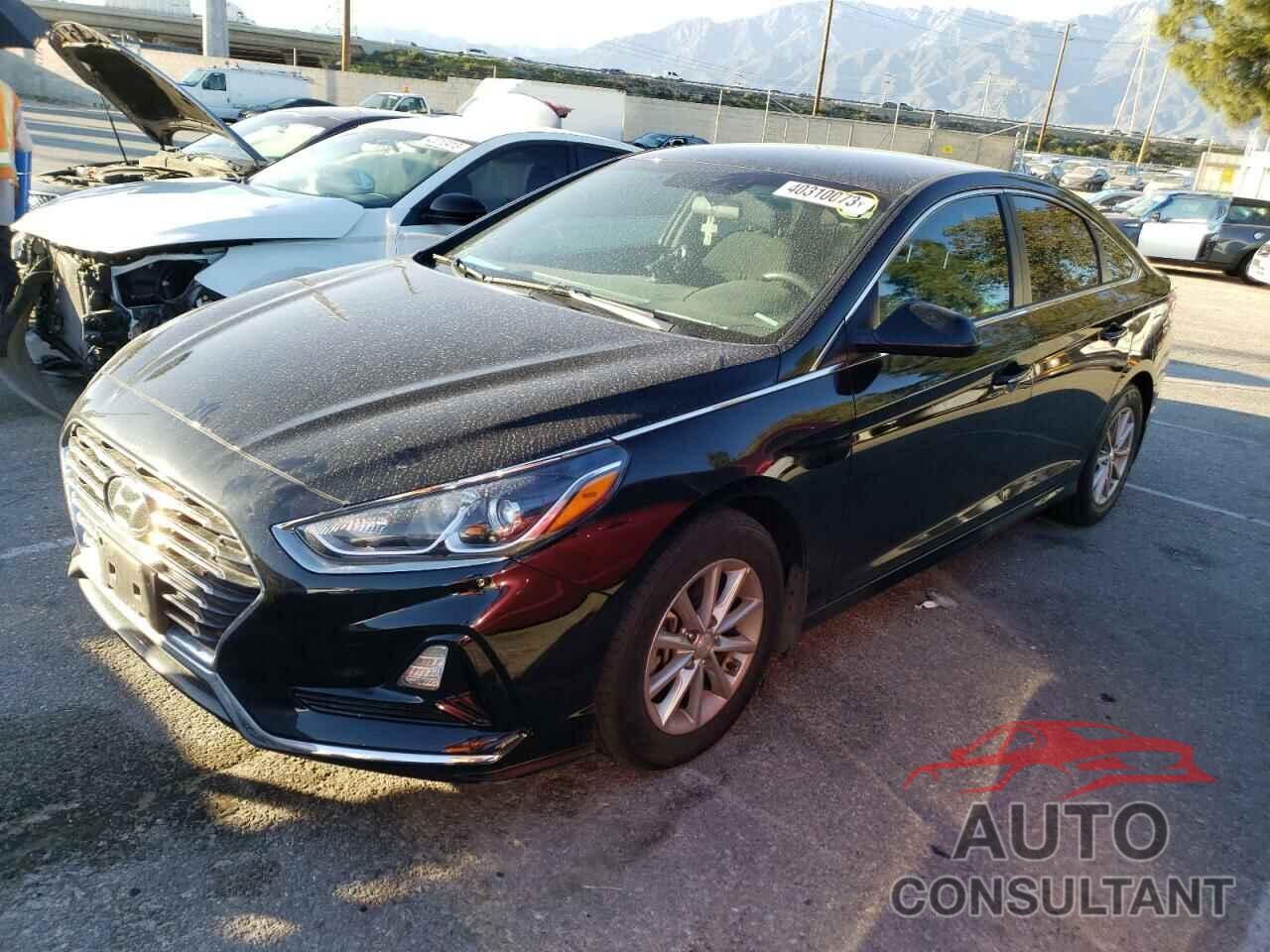 HYUNDAI SONATA 2019 - 5NPE24AF8KH740346