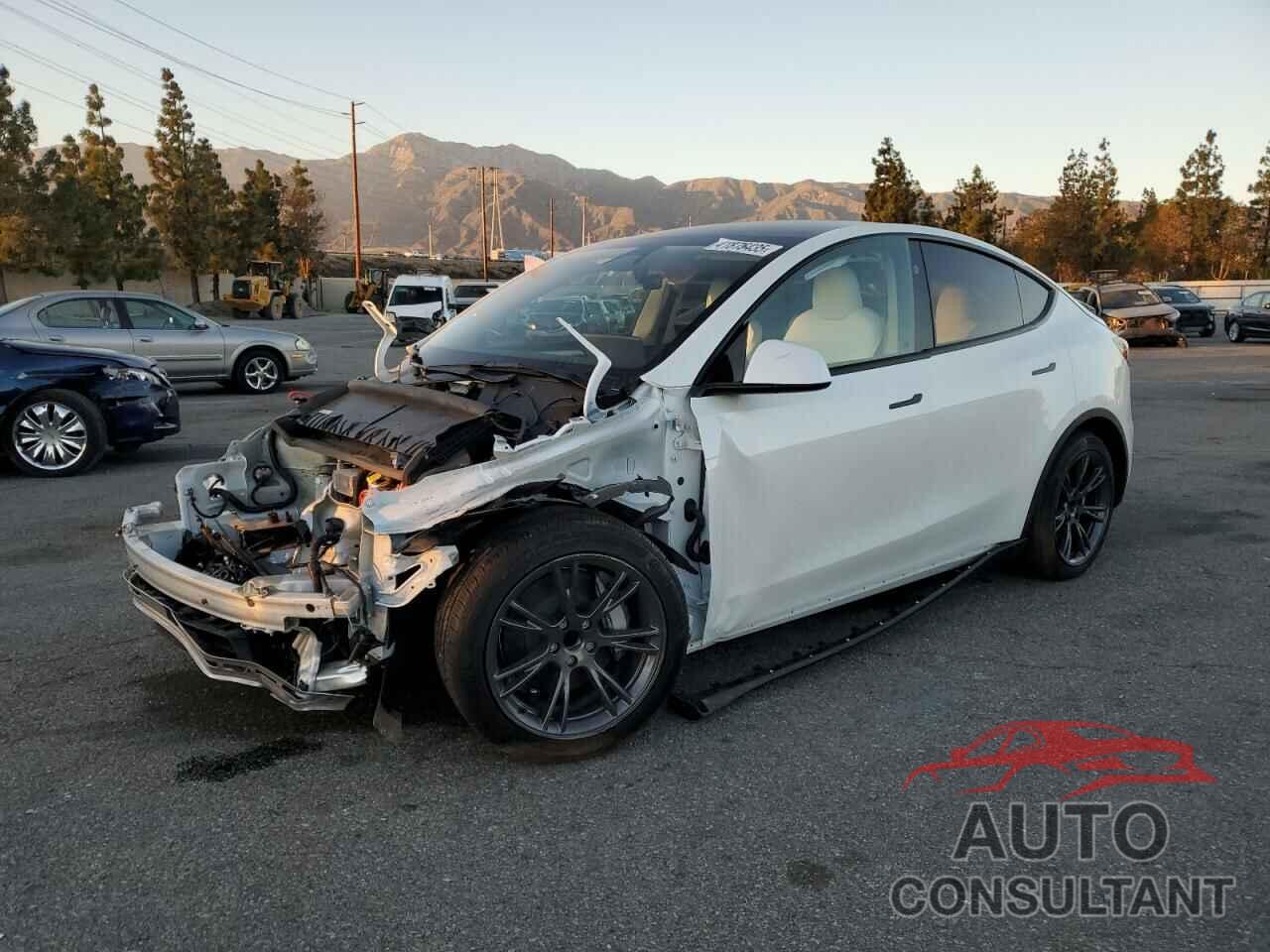 TESLA MODEL Y 2025 - 7SAYGDED3SF222525