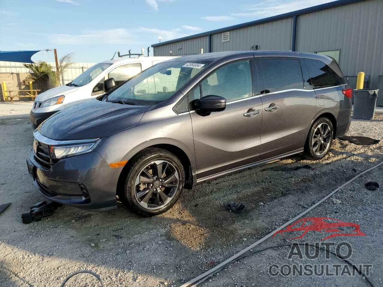 HONDA ODYSSEY 2021 - 5FNRL6H80MB500386