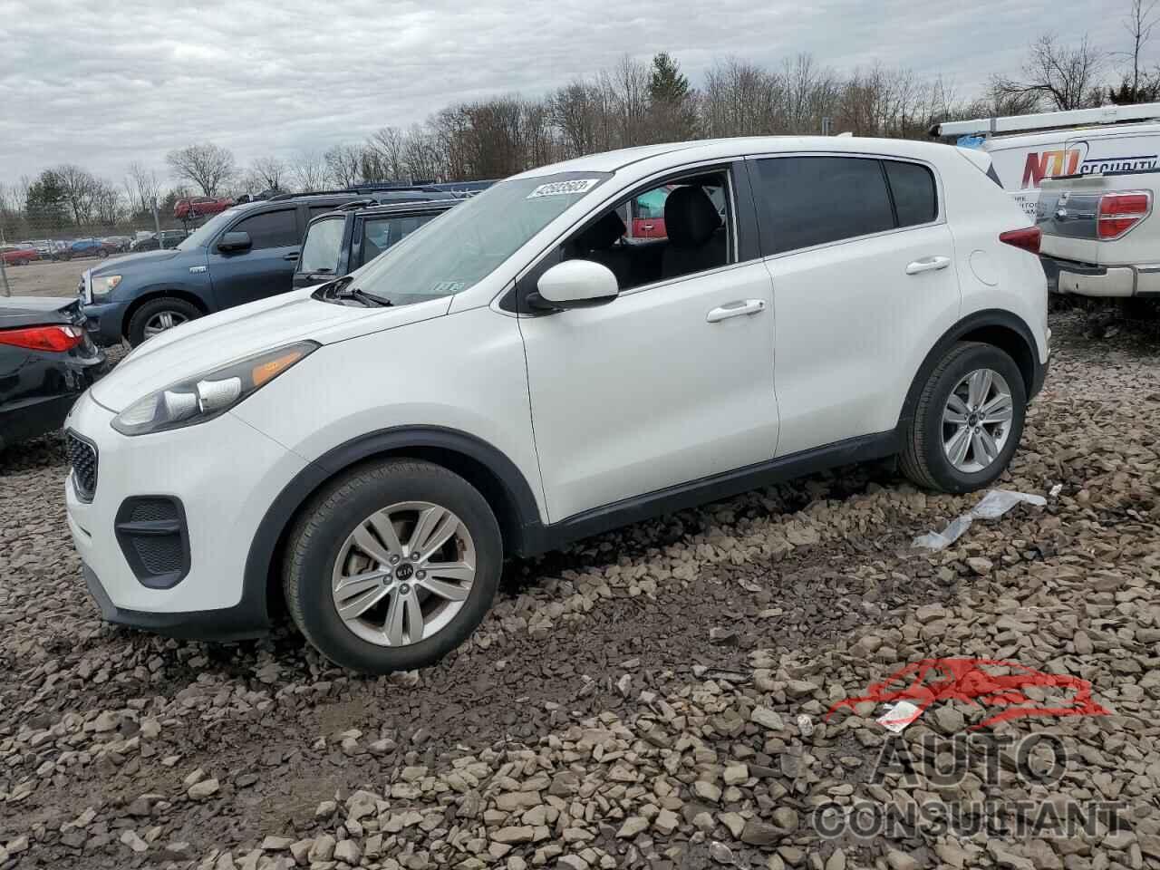 KIA SPORTAGE 2017 - KNDPM3AC4H7119010