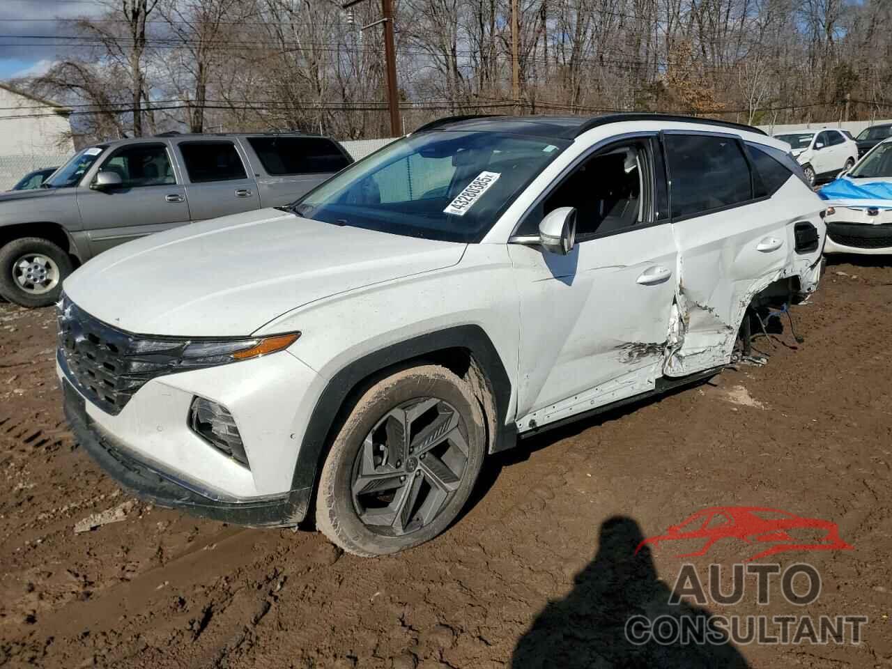 HYUNDAI TUCSON 2024 - 5NMJECDE0RH417094