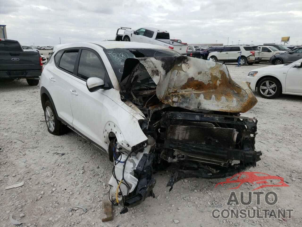 HYUNDAI TUCSON 2019 - KM8J23A48KU062352