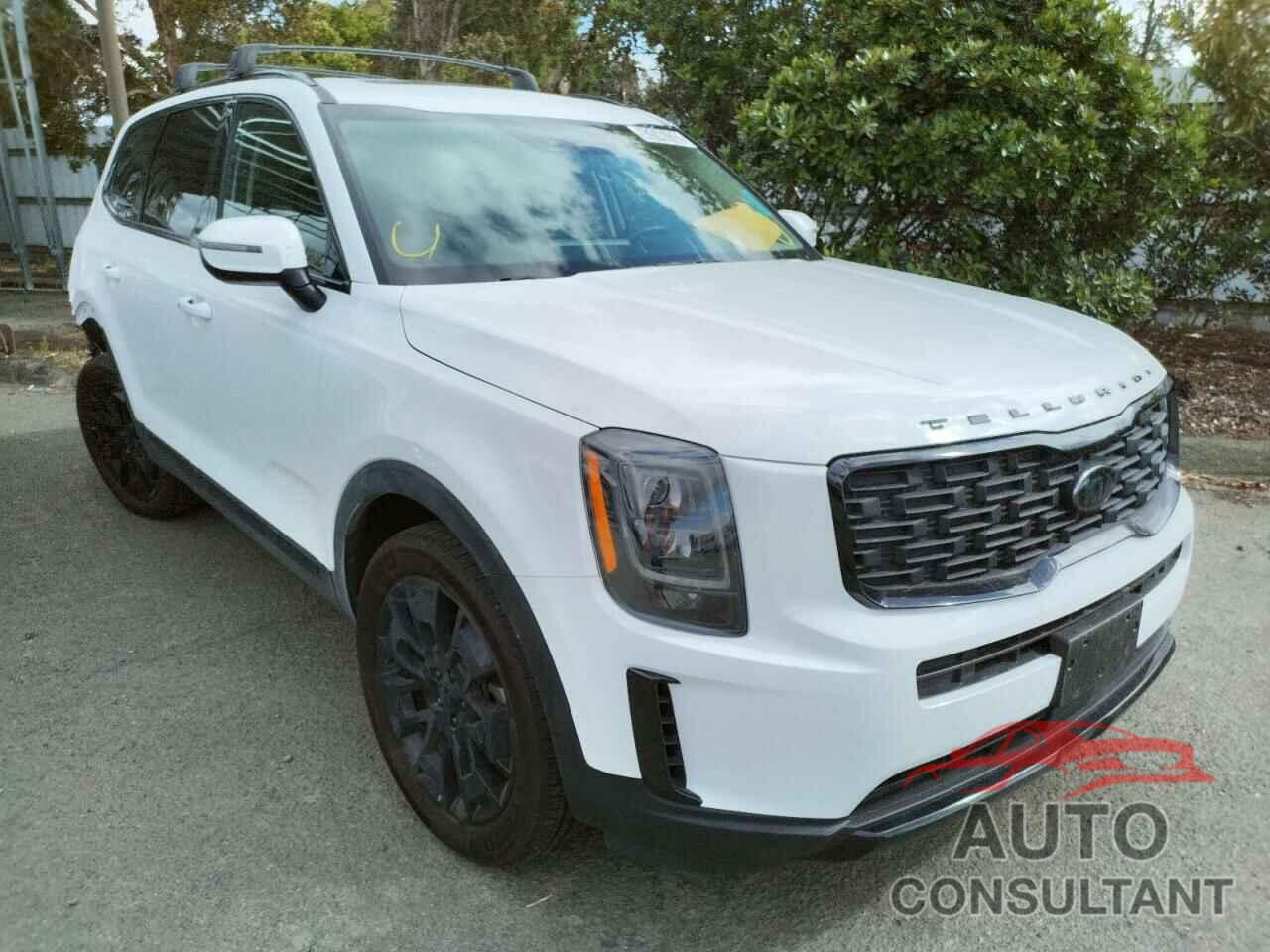 KIA TELLURIDE 2021 - 5XYP3DHC0MG157829